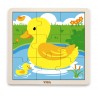 Puzzle din 9 piese mari - ratusca