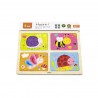Puzzle 4 in 1 - Insecte