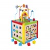 Centru de activitati mare 5 in 1
