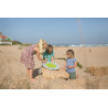 Roata actiunilor, BS Toys
