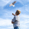 Zmeu vultur Terra Kids, Haba