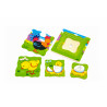 Puzzle in straturi Evolutie cocos, Viga