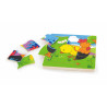 Puzzle in straturi Evolutie cocos, Viga