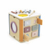 Cub cu activitati 8-in-1, PolarB Viga