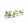 Trenulet modular cu animale, colectia Green, PolarB Viga
