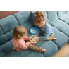 Sortator de forme Animale Arctice, BS Toys
