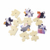 Jigsaw Puzzle 24 piese - Cosmos, Viga