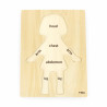 Puzzle Corpul uman - Fata（7 piese), Viga