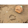 Stampile din lemn pentru nisip, BS Toys
