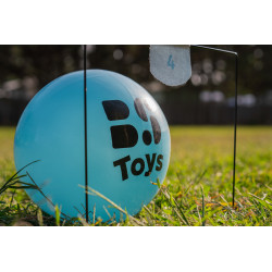 Fotbal Croquet, BS Toys